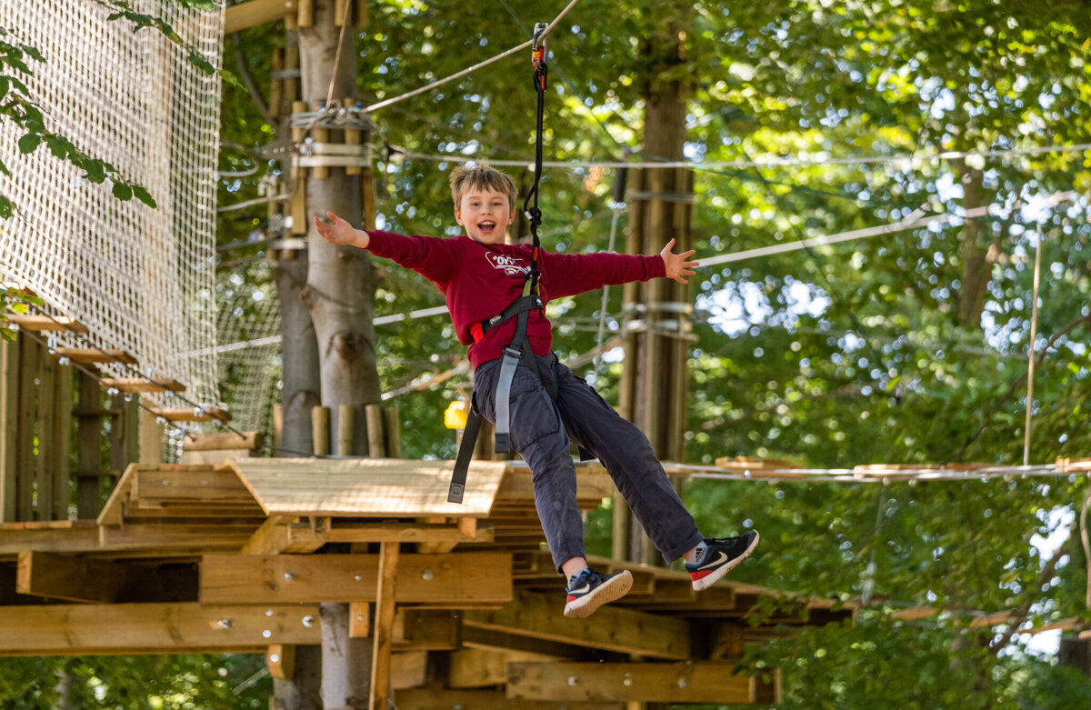 Image of Y4 Go Ape Trip (Dalby Forest) - OAA Day